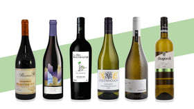 Our Organic Favourites (6 Bottles)