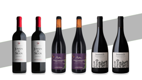 Last of the Summer Reds (6 bottles)
