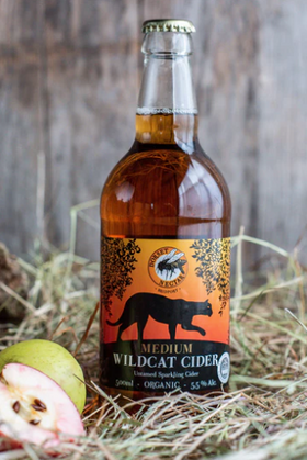 Organic Wildcat Cider, Dorset Nectar, Bridport