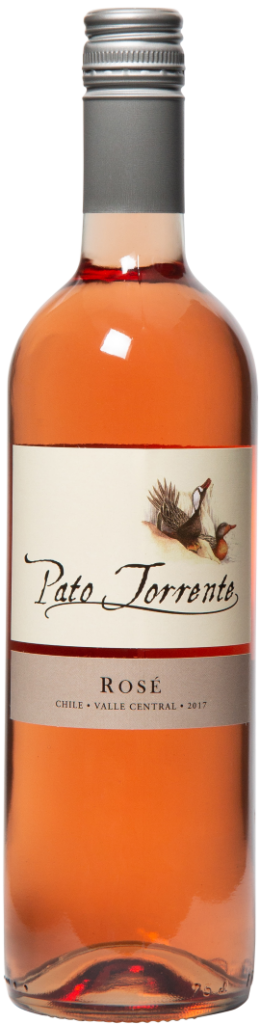 Pato Torrente Rose, Central Valley, Chile